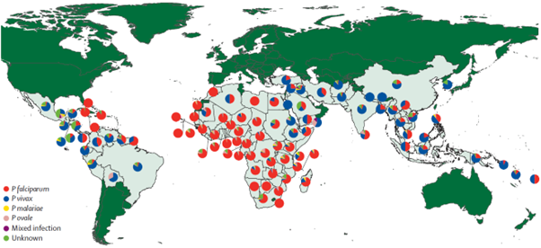 Figure 4: Relative Incidence of Plasmodium species by country of origin. The Lancet Infectious Diseases.