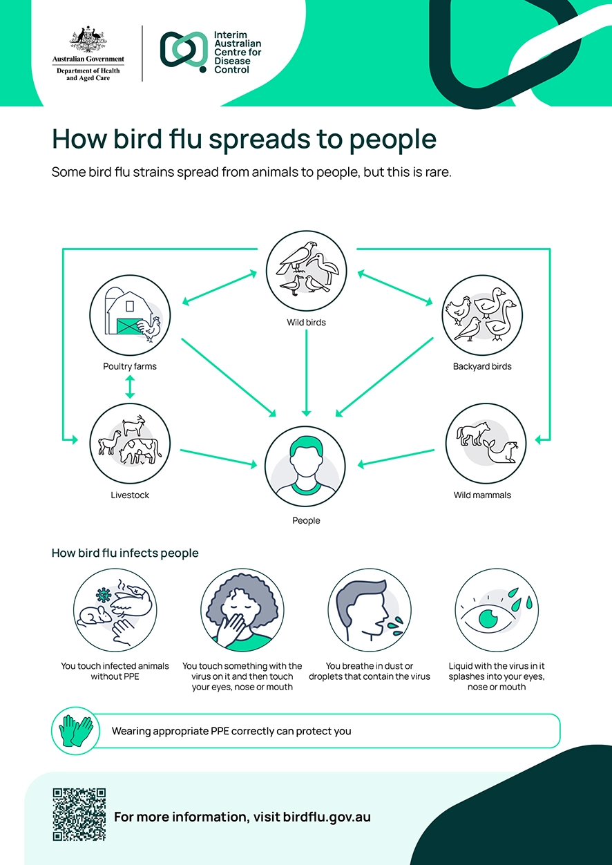 Bird Flu Toolkit For People Who Work With Birds 0 2