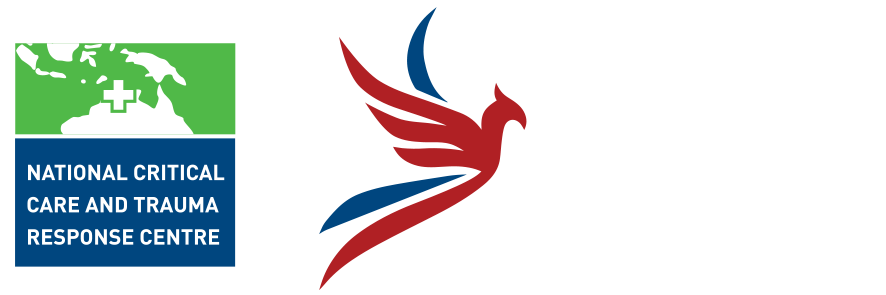 PHOENIX Logo B