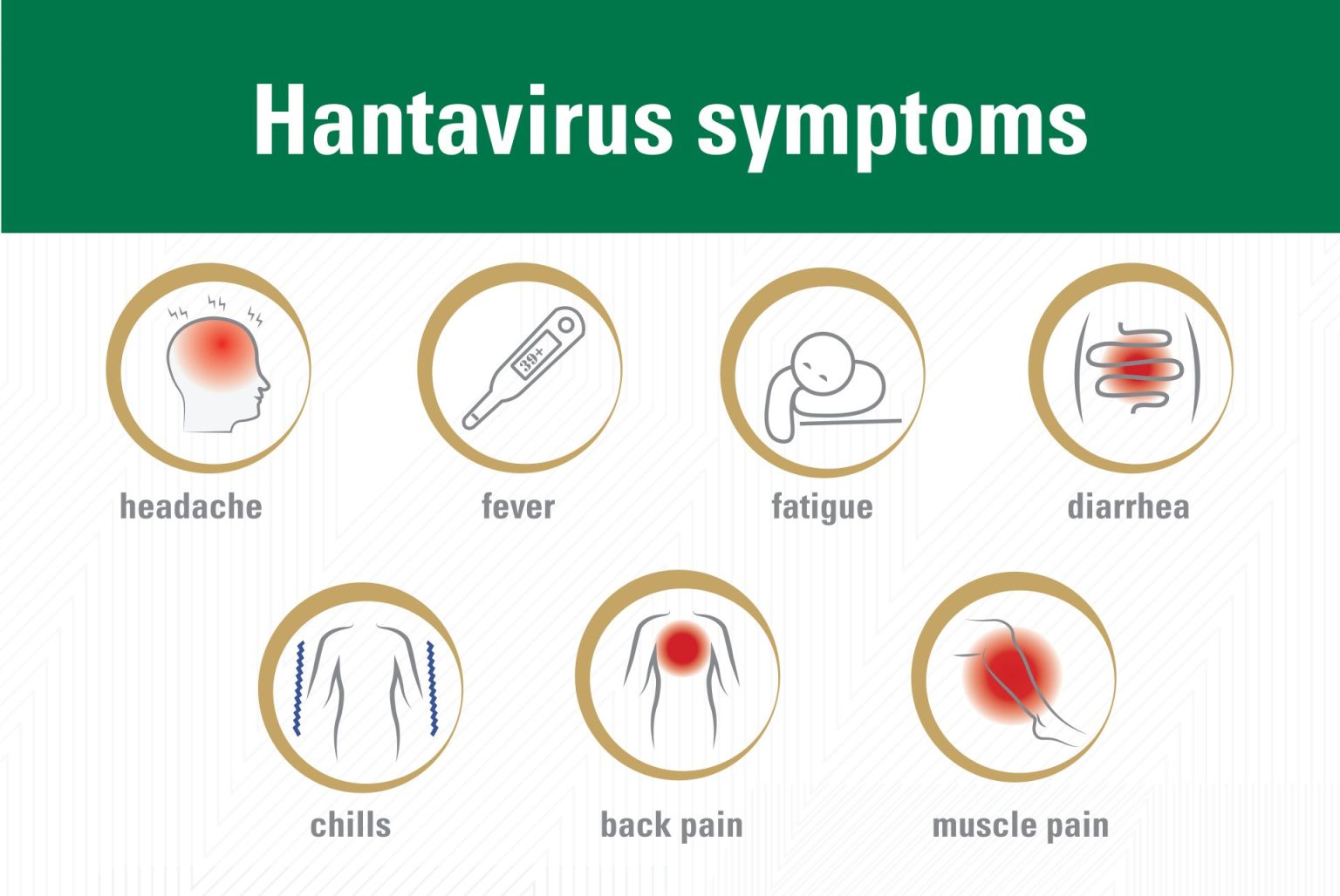 Hantavirus 1536x1028