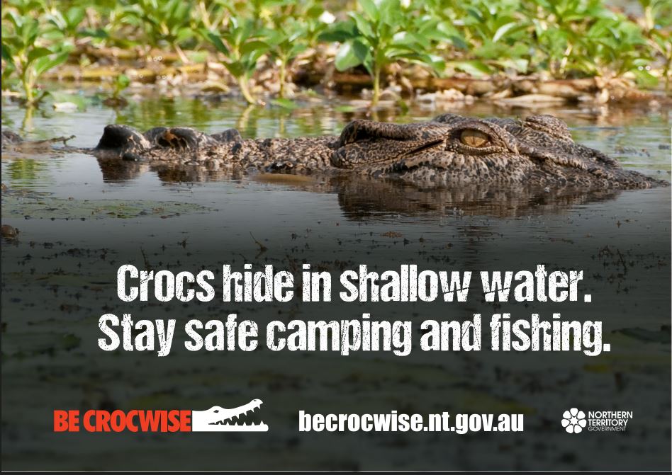 Be Crocwise Crocs Hide