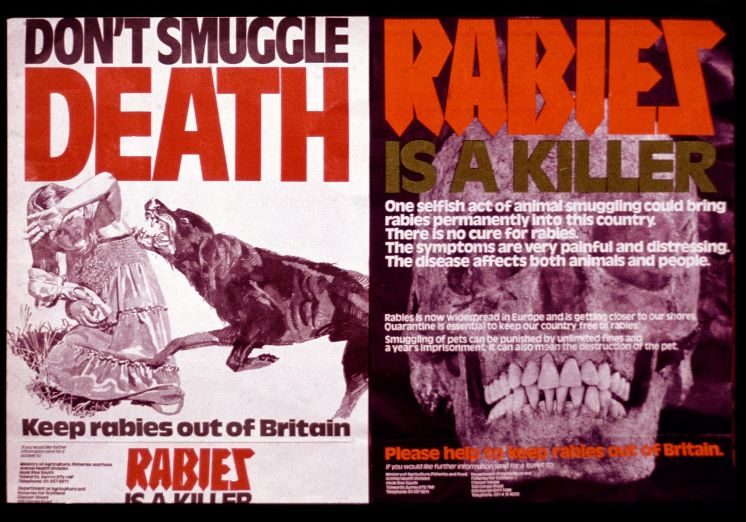 Rabies publicity posters – Royal Veterinary College